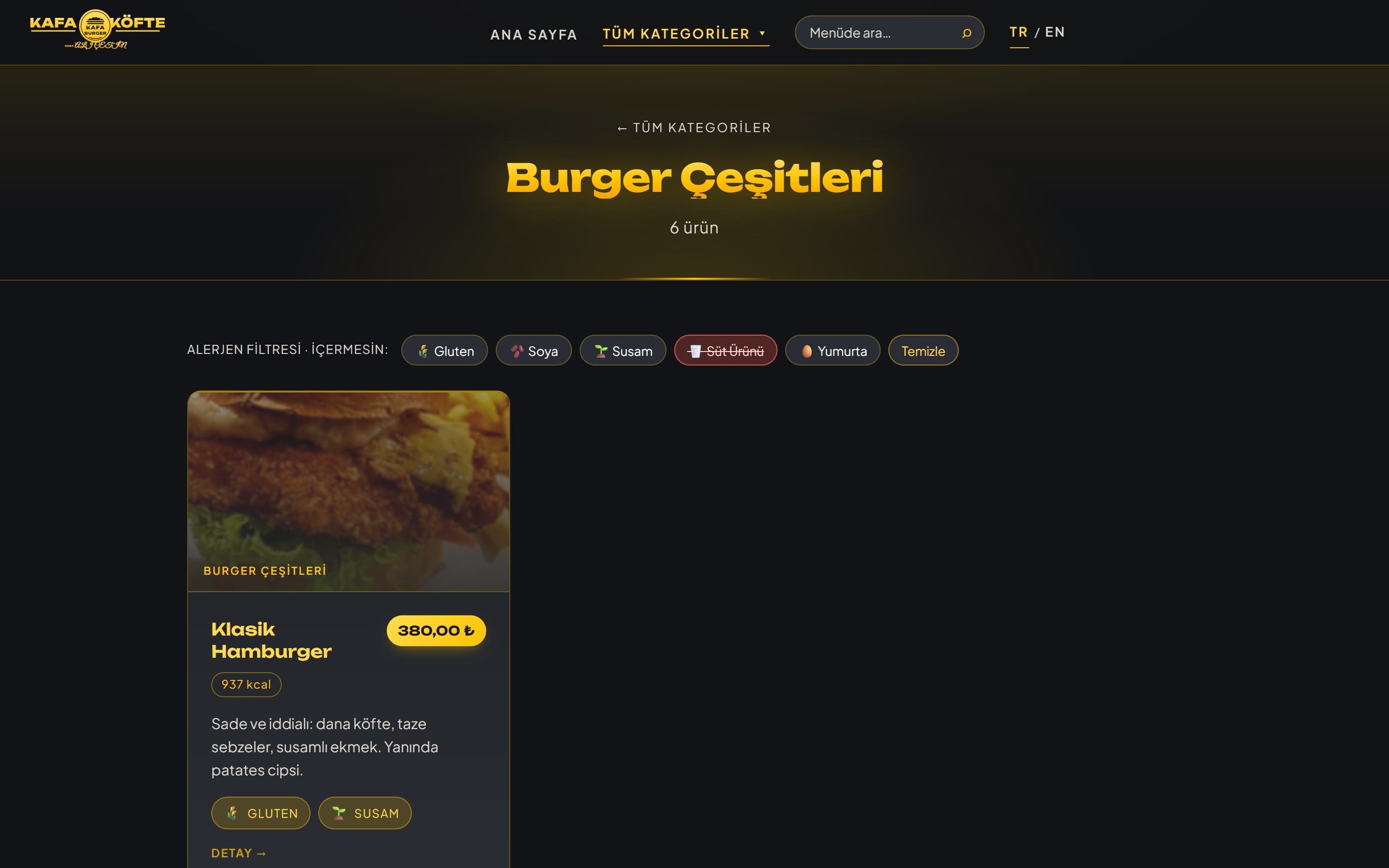 Alerjen Filtresi